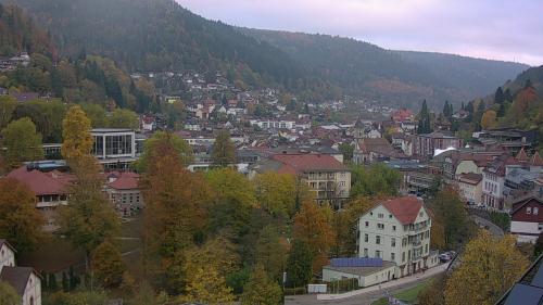 Webcam Bad Wildbad