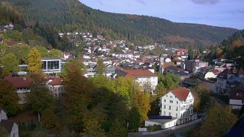 Webcam Bad Wildbad