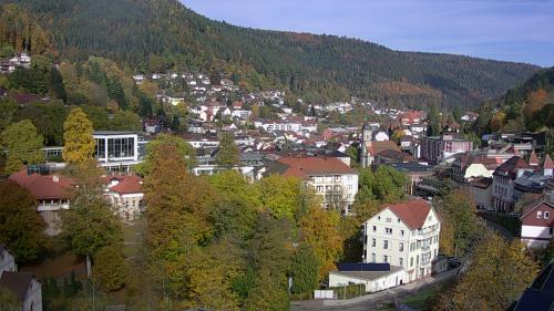 Webcam Bad Wildbad