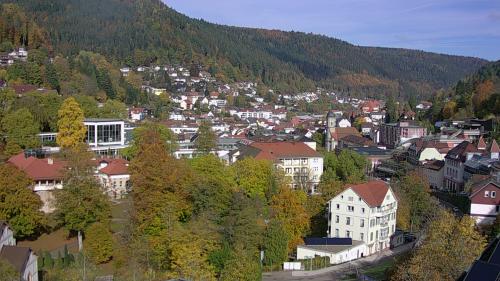 Webcam Bad Wildbad