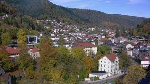 Webcam Bad Wildbad