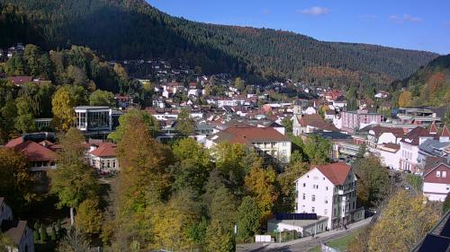 Webcam Bad Wildbad