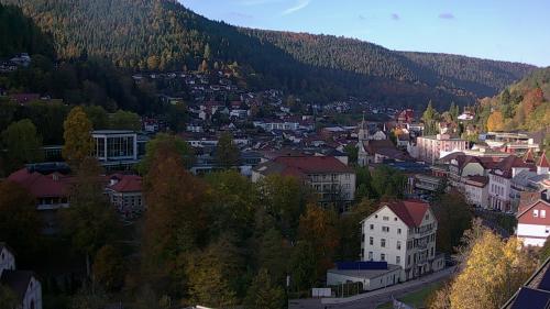 Webcam Bad Wildbad