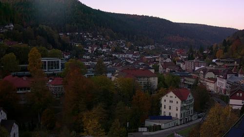 Webcam Bad Wildbad