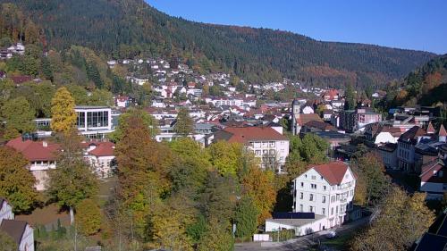 Webcam Bad Wildbad