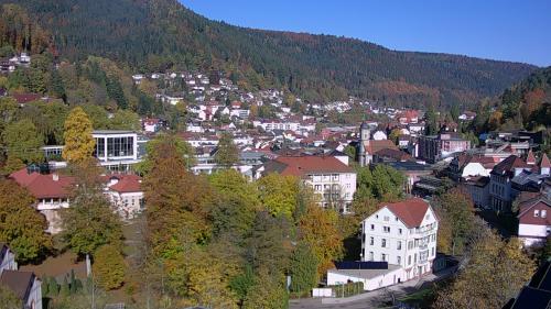 Webcam Bad Wildbad