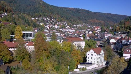 Webcam Bad Wildbad