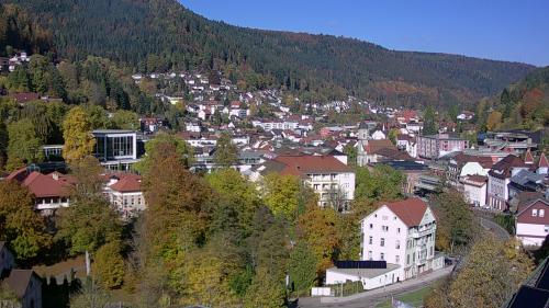 Webcam Bad Wildbad