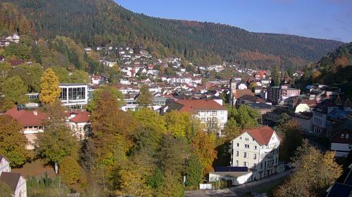 Webcam Bad Wildbad