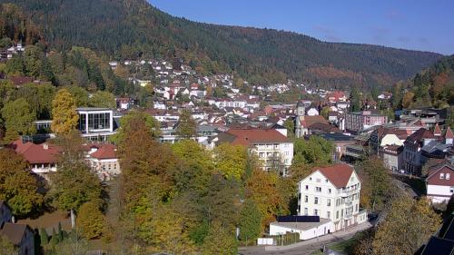 Webcam Bad Wildbad