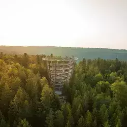 Sommerberg und Baumwipfelfpfad in Bad Wildbad