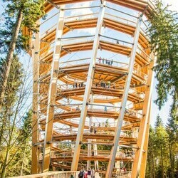 Wandern auf dem Bauwipfelpfad f�r die ganze Familie - Wellnesshotel Rothfuss