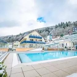 Infinitypool im Wellnesshotel Rothfuss im Winter 