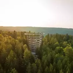 � Manuel Kamuf / Lightworkart - Sommerberg und Baumwipfelfpfad in Bad Wildbad