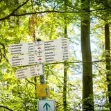 � Manuel Kamuf / Lightworkart - Gr�nh�tte in Bad Wildbad im Schwarzwald