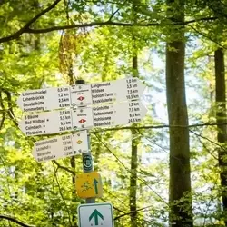 � Manuel Kamuf / Lightworkart - Gr�nh�tte in Bad Wildbad im Schwarzwald