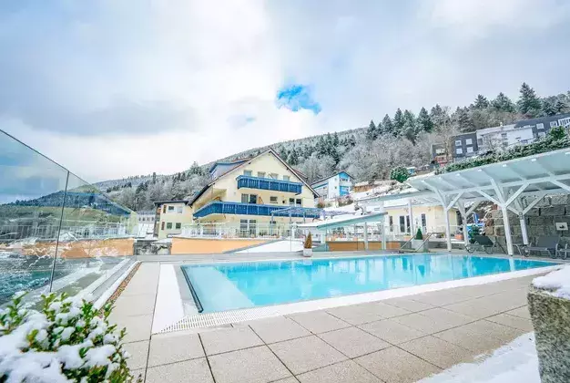Infinitypool im Wellnesshotel Rothfuss im Winter 