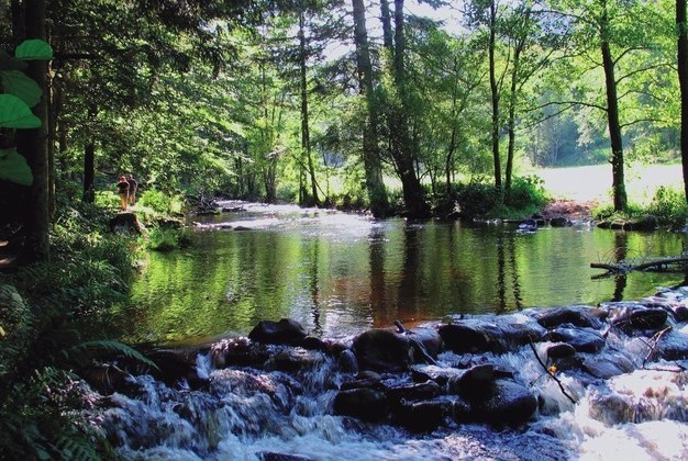 Idyllische Umgebung in Bad Wildbad - Wellnesshotel Rothfuss