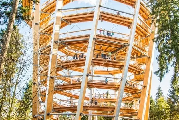 Wandern auf dem Bauwipfelpfad f�r die ganze Familie - Wellnesshotel Rothfuss in Bad Wildbad im Schwarzwald