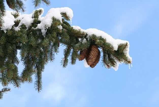 Winter im Nordschwarzwald - bernachten im Wellnesshotel Rothfuss