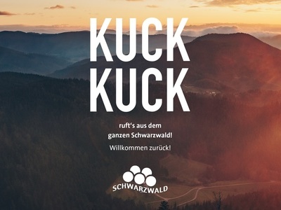 Angebot Wellnesshotel Rothfuss: "KuckKuck" 