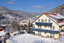 Winterbild 2 - Wellnesshotel Rothfuss